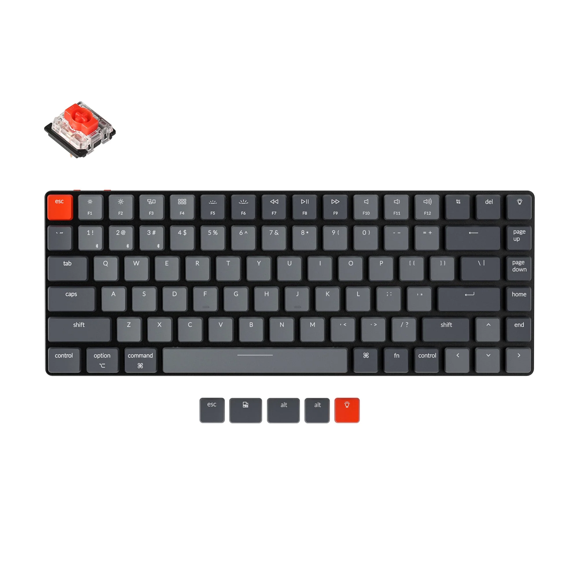 Miniatura 1