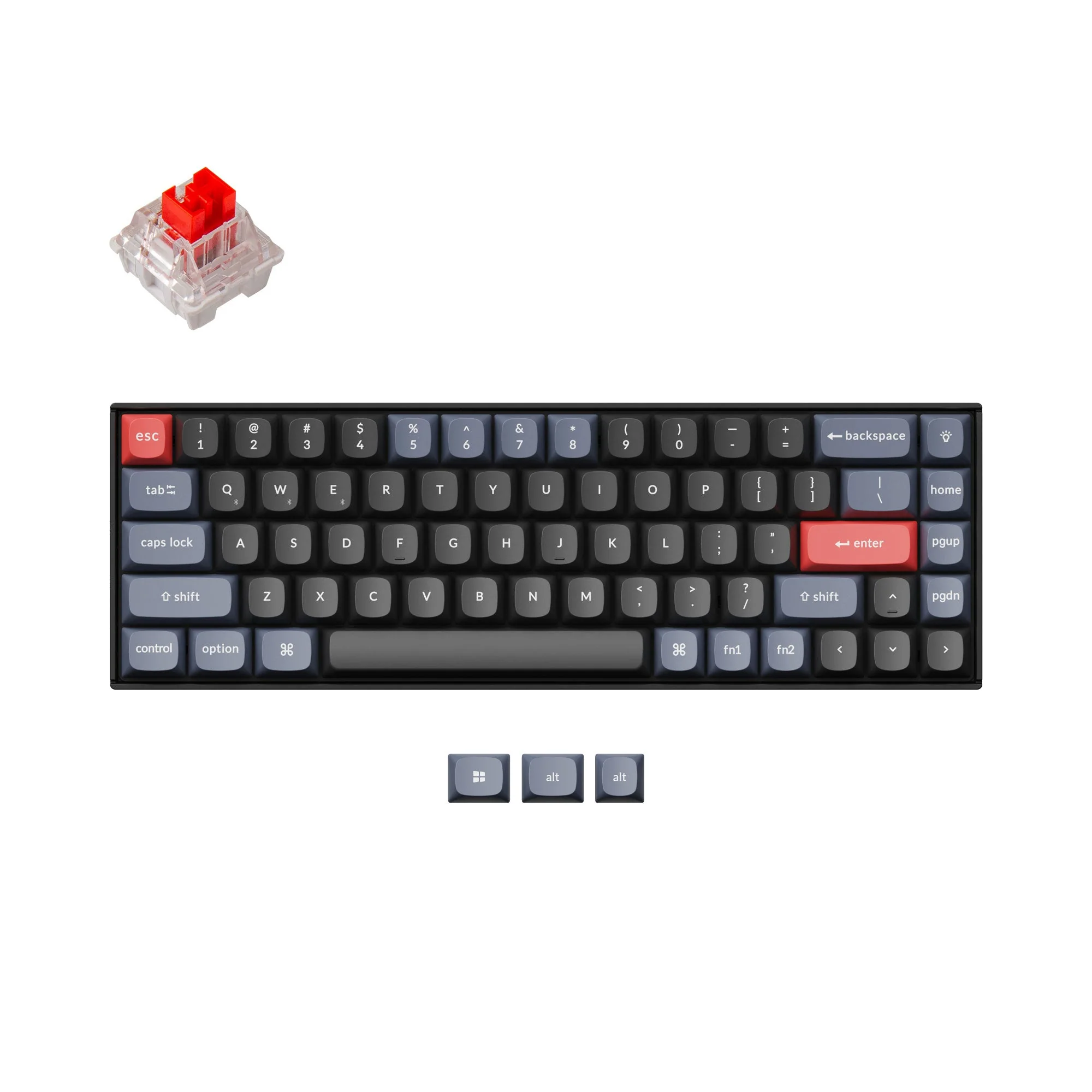 Miniatura 1