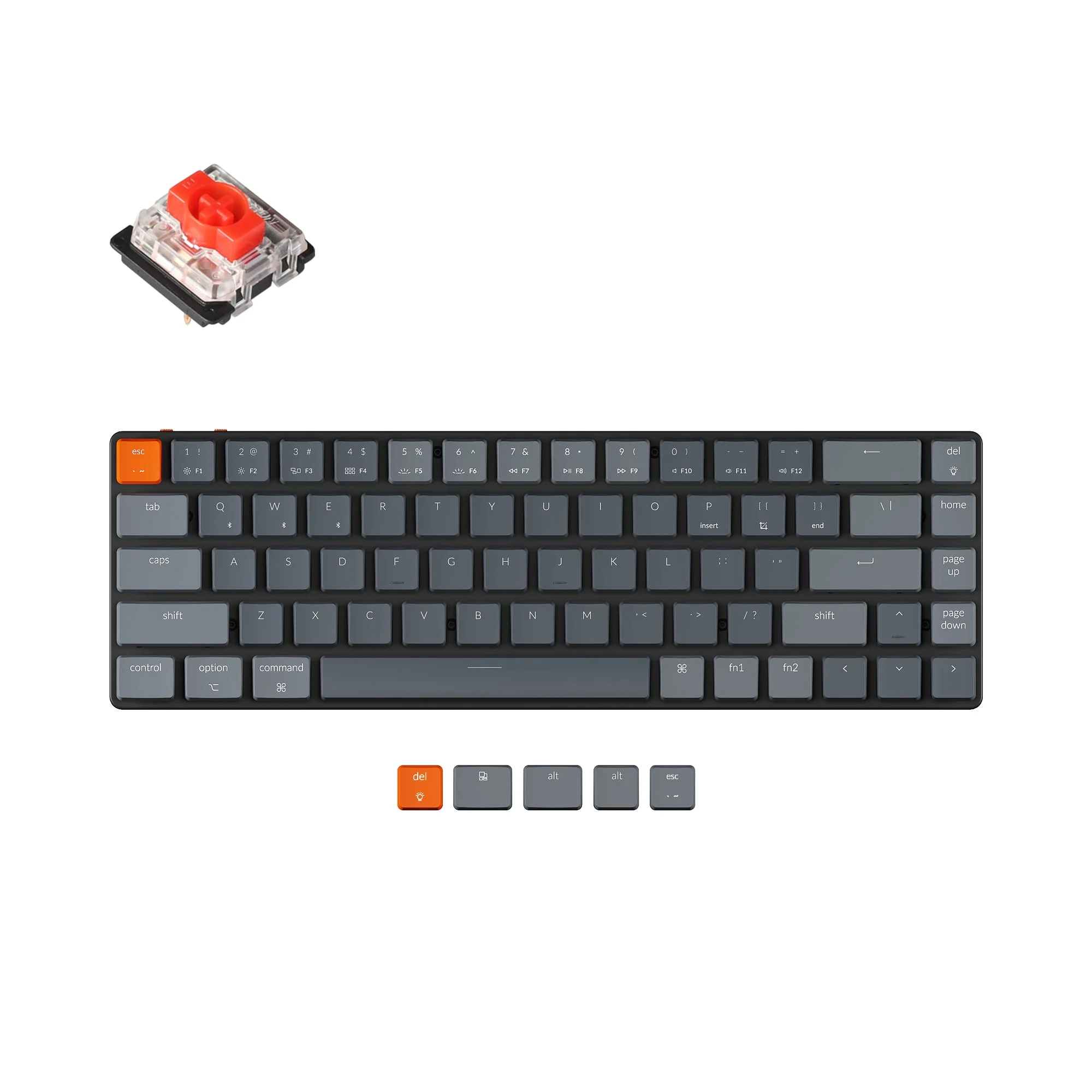 Miniatura 1
