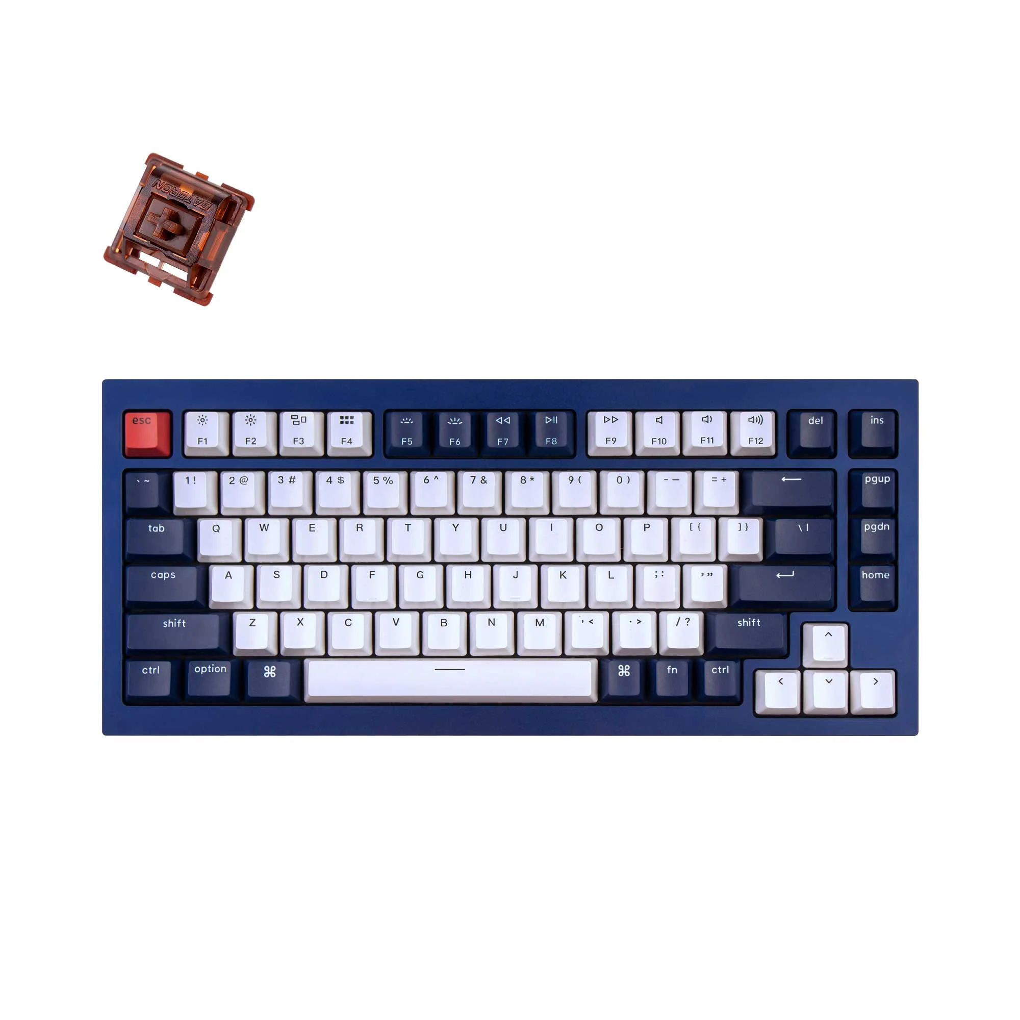 Keychron Q1 QMK Custom Mechanical Keyboard - Image 19