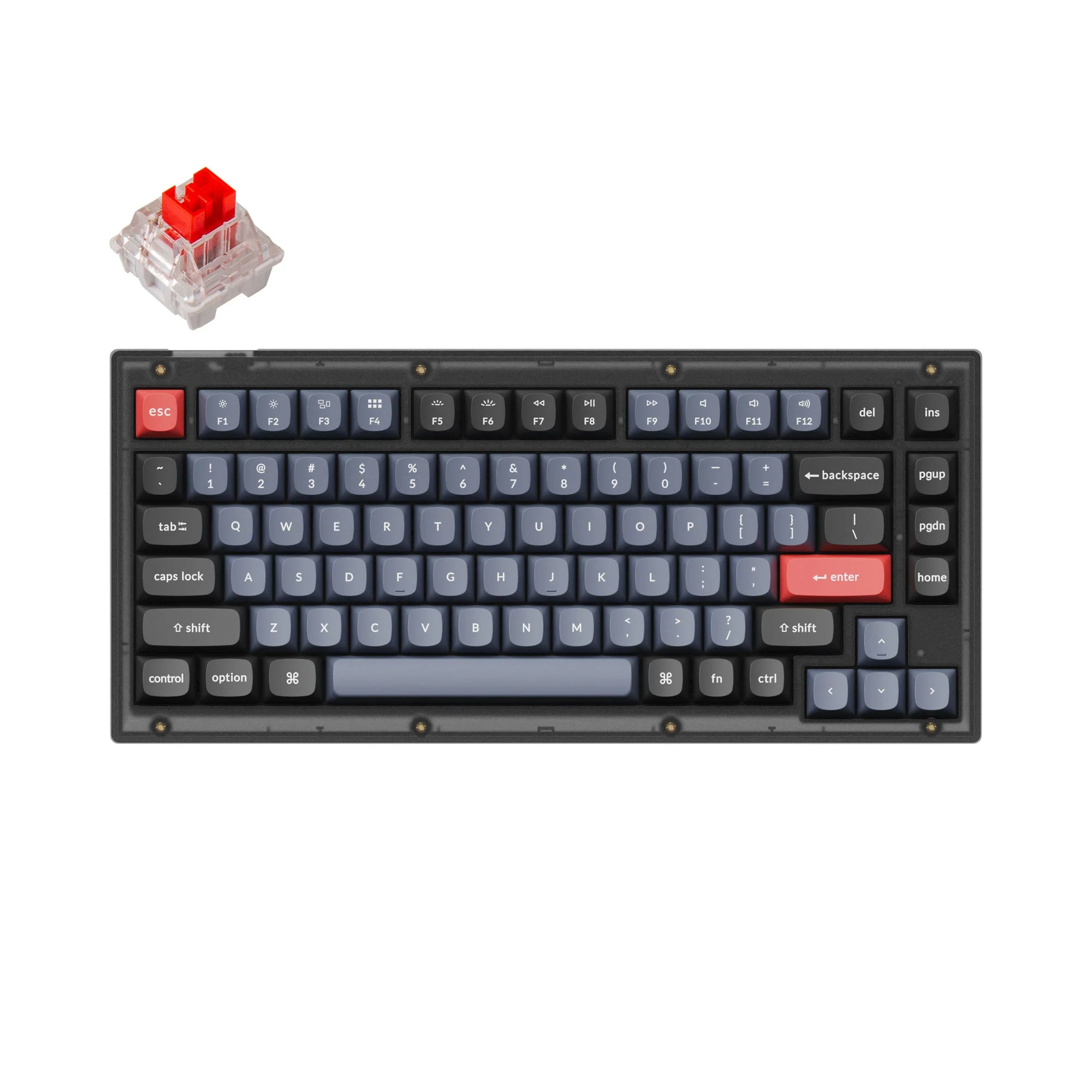 Miniatura 1