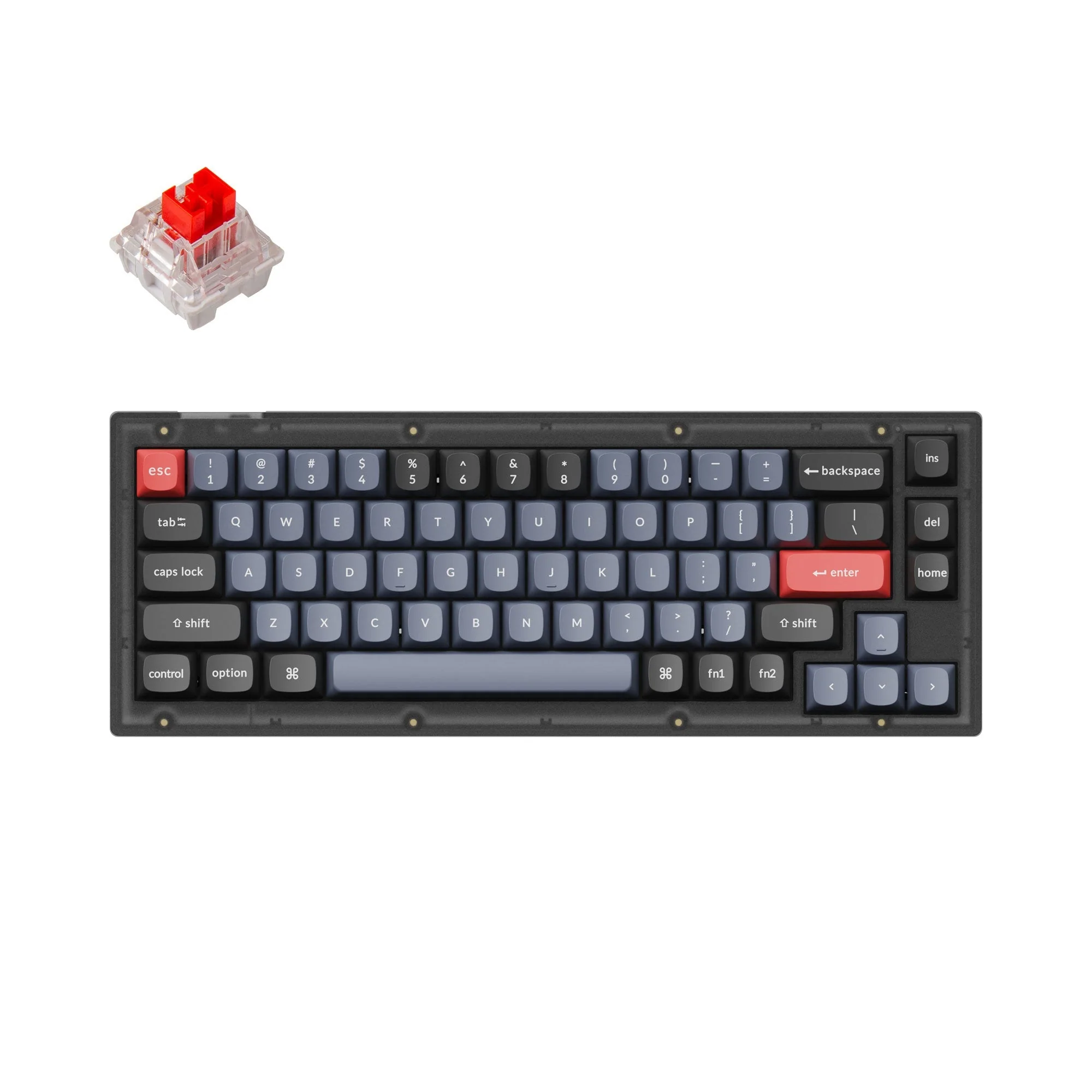 Miniatura 1